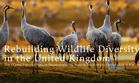 L’Oréal launches new fund for UK nature regeneration